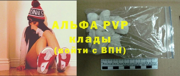 шишки Магас