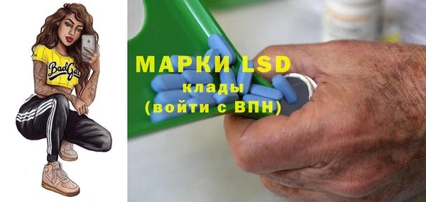 шишки Магас