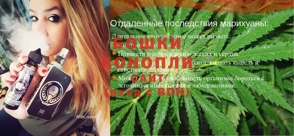 шишки Магас