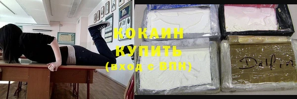 шишки Магас