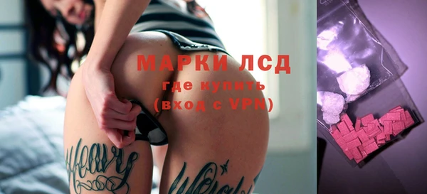 шишки Магас