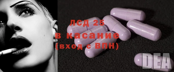 шишки Магас