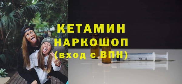 шишки Магас