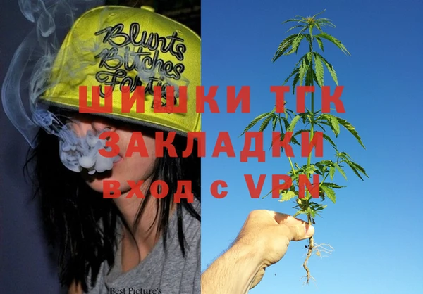 шишки Магас